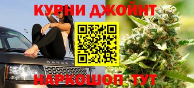 прущие грибы Апшеронск