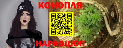 прущие грибы Балашиха