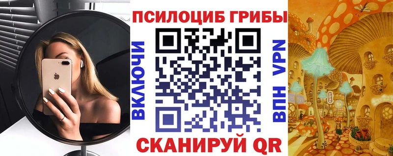 Псилоцибиновые грибы мухоморы  купить наркотики сайты  Волгодонск 