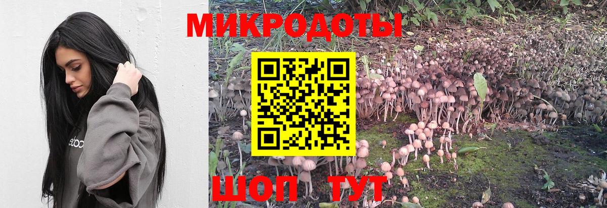 Галлюциногенные грибы мицелий Волгодонск