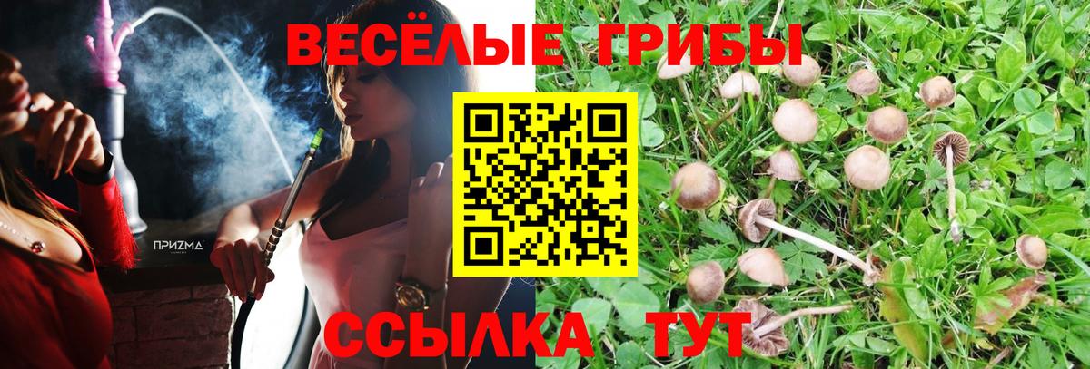 Псилоцибиновые грибы Psilocybine cubensis  Псилоцибиновые грибы Magic Shrooms  Вход с VPN  Волгодонск 
