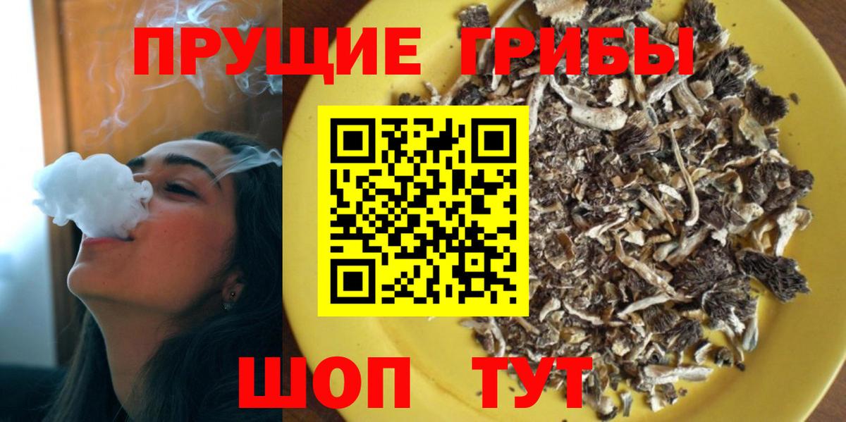 Галлюциногенные грибы прущие грибы Волгодонск