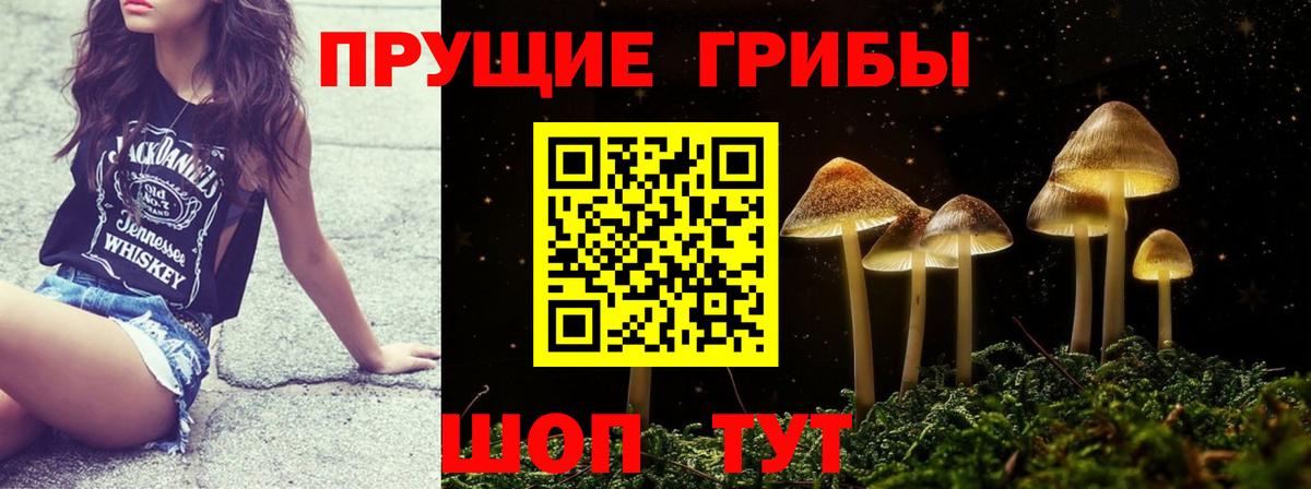 купить закладку  Волгодонск  Псилоцибиновые грибы Cubensis  Галлюциногенные грибы ЛСД 