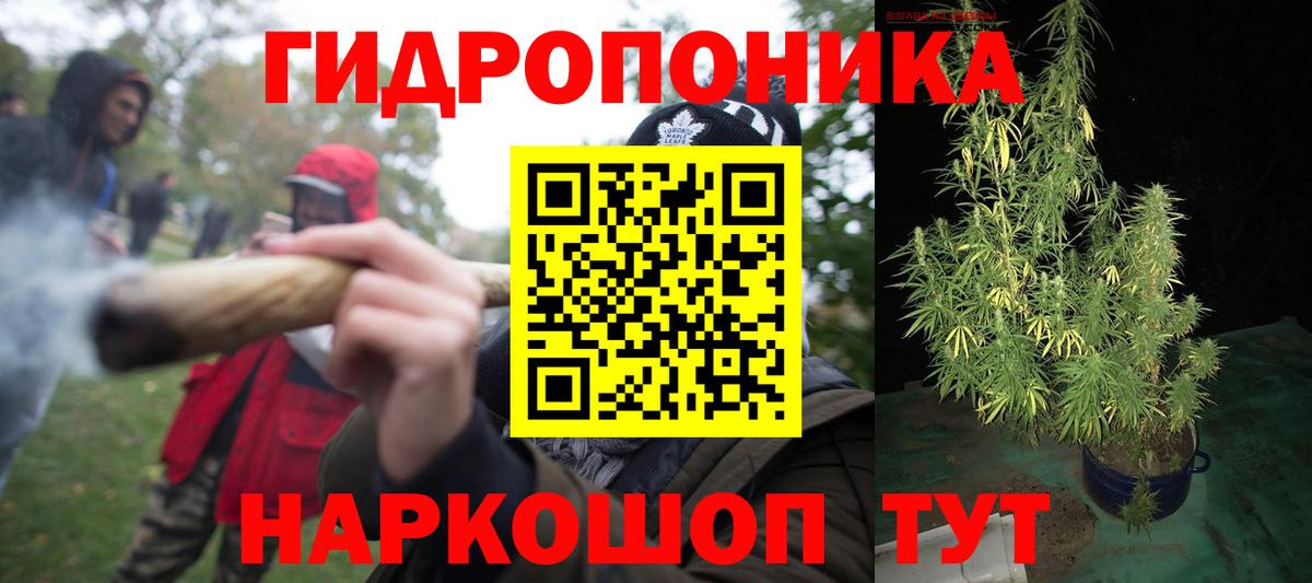 Марихуана планчик  Бошки марихуана план  Конопля LSD WEED  Волгодонск 